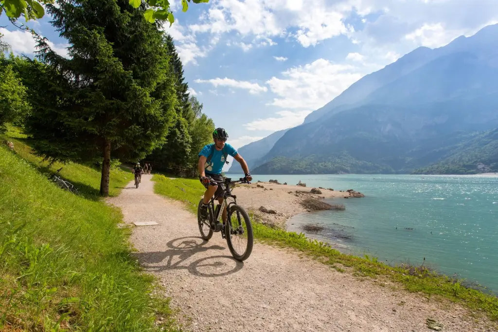 boss pedal cup FV-30H Mini Volume – Harry's Guitar Shop at56207 Color:Aqua Green with Silver Mirror 3 Compression Sustainer pedal Vox Mystic Edge Drive