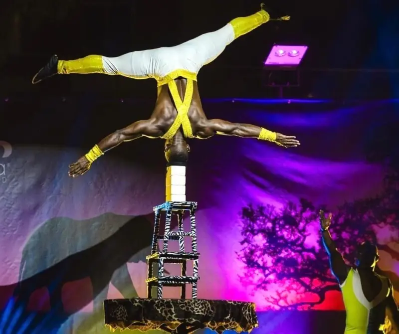 Cores Da Bahia: Tanzania Acrobatic Experience